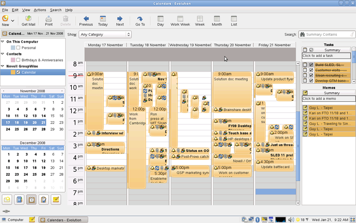 Novell Evolution calendar view
.