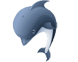 sqlyog icon