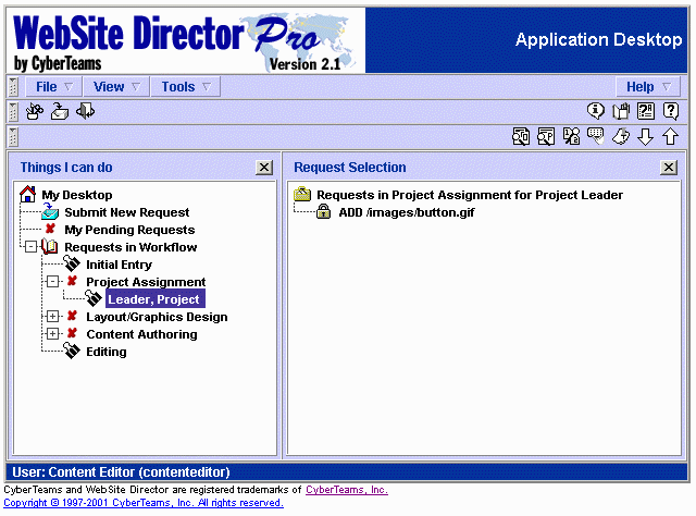 website director jpg