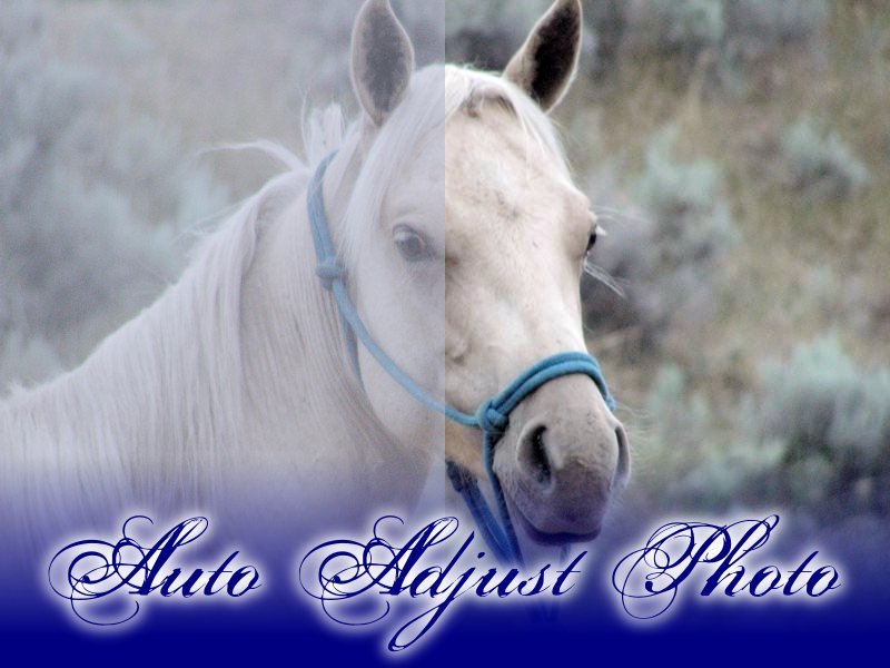auto adjust photo jpg
