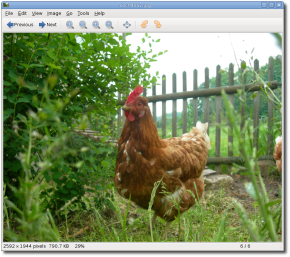 Eye of GNOME's main window, showing a lovely hen.