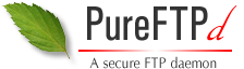 pure ftp server jpg