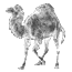 Perl2html